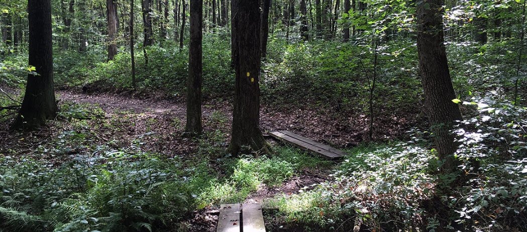 The Brook , , Ireland
